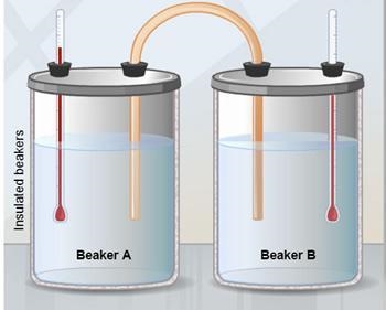 The two insulated beakers shown contain equal amounts of identical liquids. The temperature-example-1