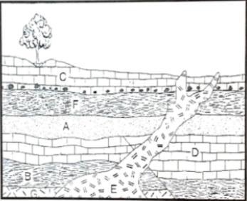 What came first, Layer D or Rock E? Layer D Rock E-example-1