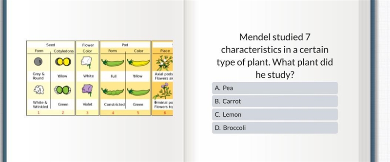 Please help me with this.-example-1