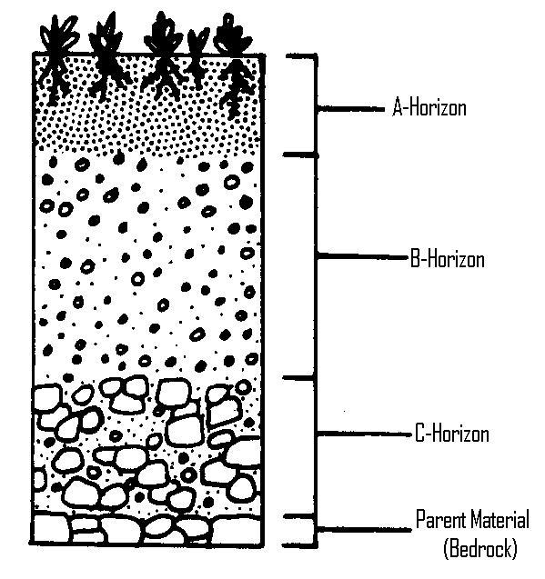 Which layer in the diagram was the original layer?-example-1