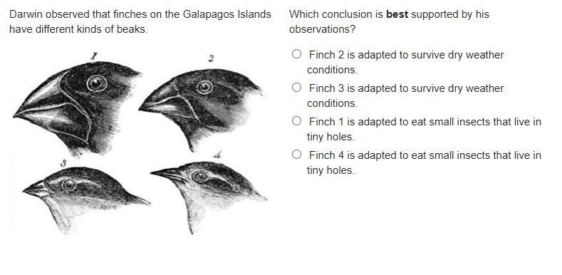 Darwin observed that finches on the Galapagos Islands have different kinds of beaks-example-1