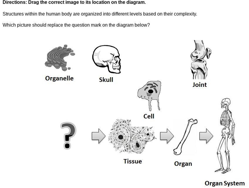 Pls somebody help me with this question! The pictures have to be in order!-example-1