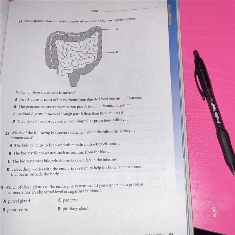 11 The diagram below shows two important parts of the human digestive system.-example-1