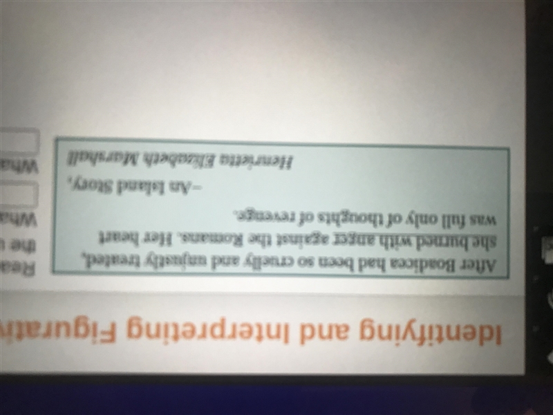 What kind of figurative language is the underlined text-example-1