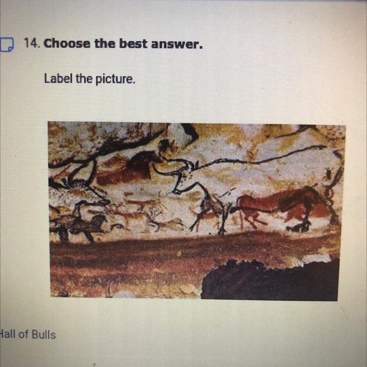 A.) hall of bulls B.) crossed bison C.) chauvet caves d.) Altamira cave E.) willendorf-example-1