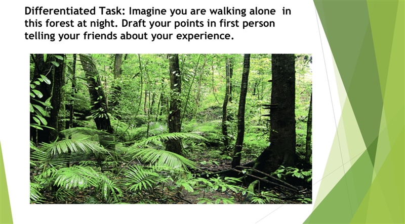 Task: Imagine you are walking alone in this forest at night. Draft your points in-example-2