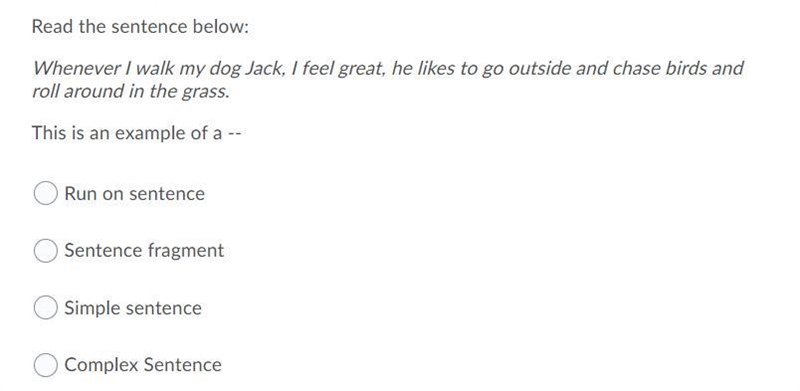 Read the sentence below: "Whenever I walk my dog Jack, I feel great, he likes-example-1