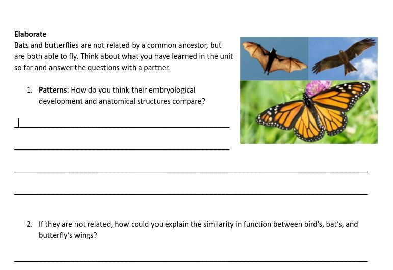 I need your help please-example-1