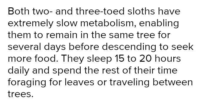 8 Exercise 4 14 Read the article about a type of animal called a sloth, which lives-example-1