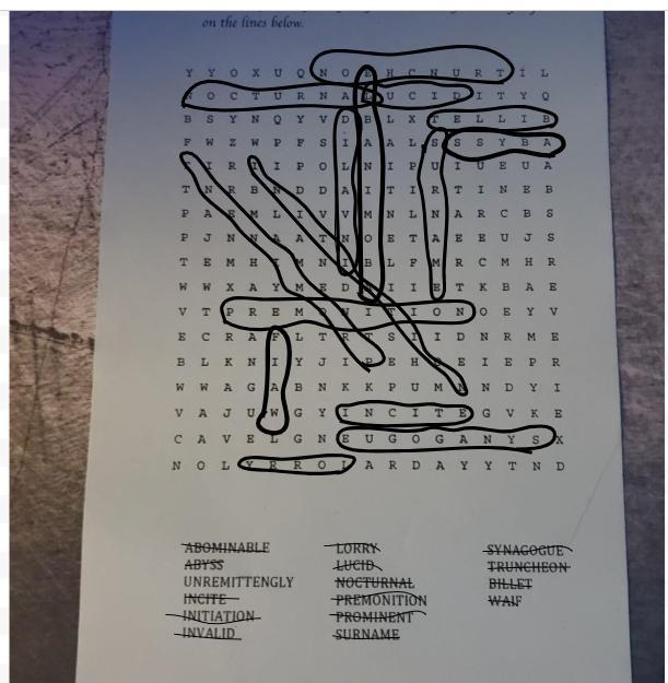 Pls solve this wordsearch​-example-1