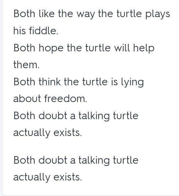 What viewpoint do jim and the slaveowner first have about the turtle in The People-example-1