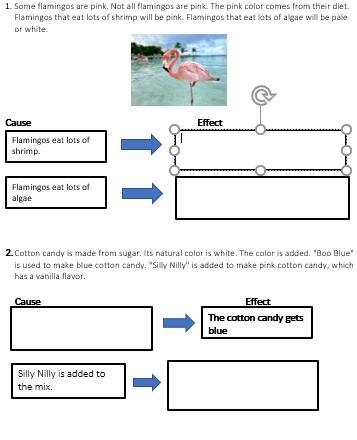 Cause and Effect Worksheet-example-1