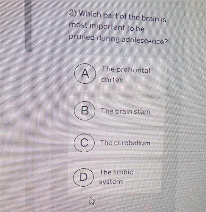 Which part of the brain is most important to be pruned during adolescence? A the prefrontal-example-1