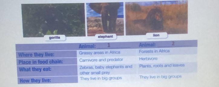 What are the two animals they are describing?-example-1