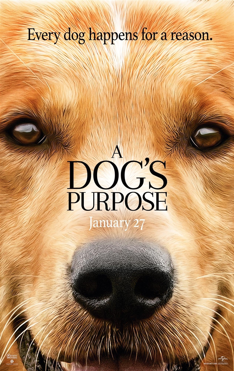 What is Bailey and Ethan‘s relationship in a dog‘s purpose-example-1