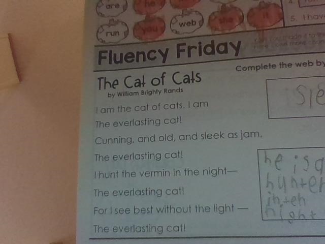 This is the text that could the cats of cats-example-1