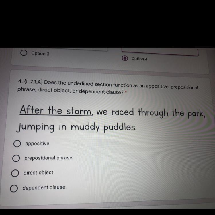 After the storm, we raced through the park, jumping in muddy puddles O appositive-example-1