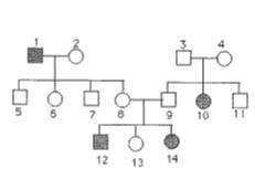 What is the genotype of I-3 and I-4-example-1