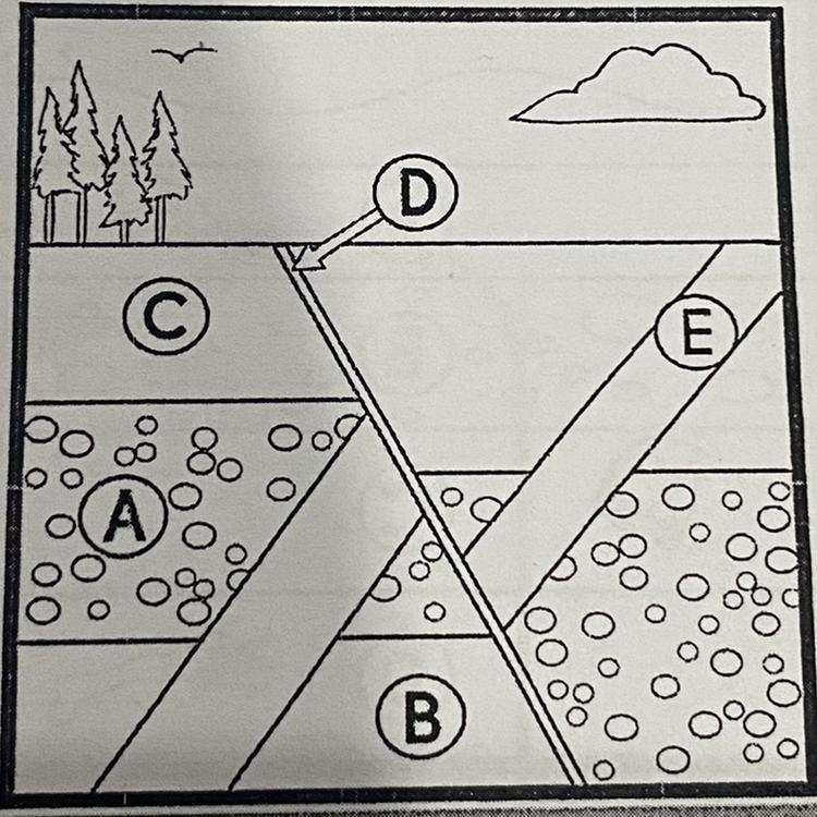 1. In what order did these geologic findings occur? 2. How do you know D is younger-example-1