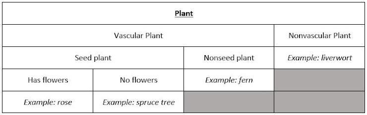 2. According to this table, what characteristics does a fern have? Note: nonvascular-example-1