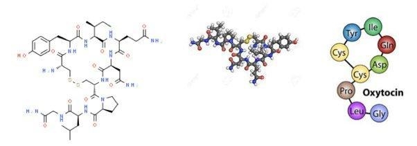 Which of the following contain protein-example-3