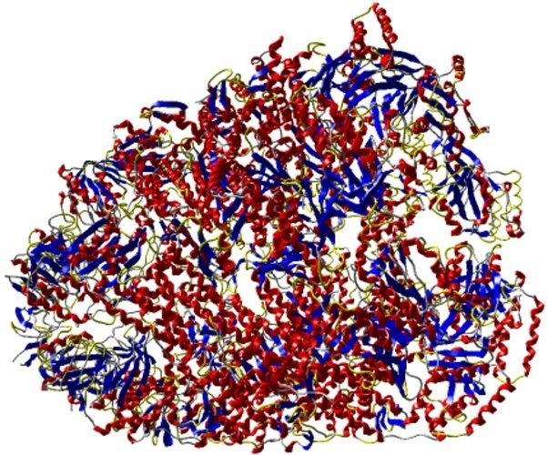 Which of the following contain protein-example-4