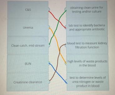 #4 Match the diagnostic test with the correct description-example-1