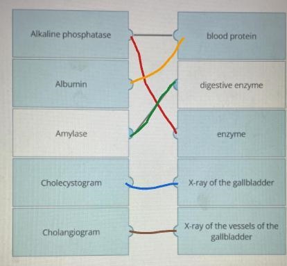 Match the term with the correct description.-example-1