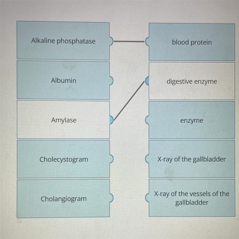 Match the term with the correct description.-example-1