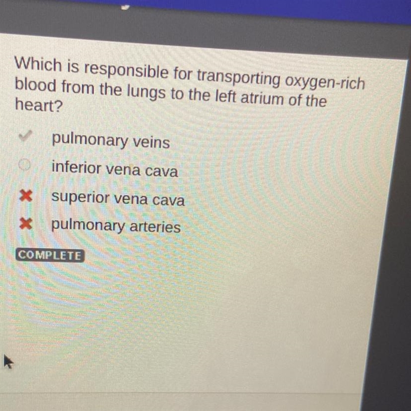 Which is responsible for transporting oxygen-rich blood from the lungs to the left-example-1