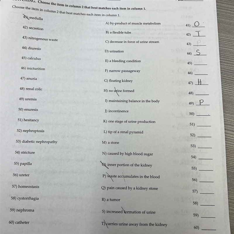 Urinary system matching, confused, will earn 50pts for completion-example-1