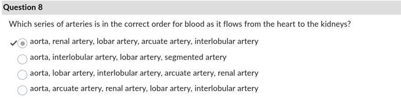 Which series of arteries is in the correct order for blood as it flows from the heart-example-1