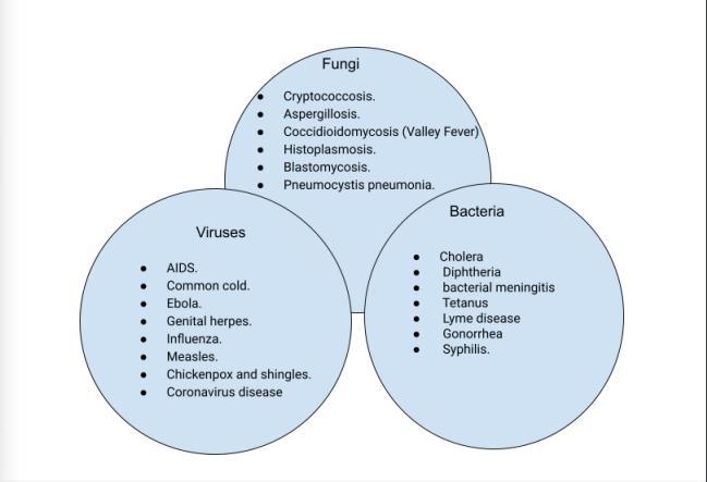 During the course of their work, healthcare professionals can be exposed to all kinds-example-1