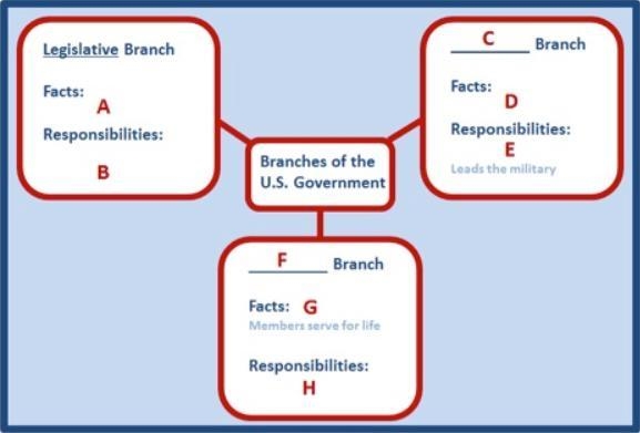 Study the image above. Which of the following should you place on the line labeled-example-1