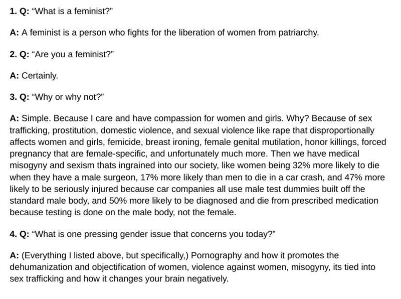 “What is a feminist?” “Are you a feminist?” “ Why or why not?" "What is-example-1