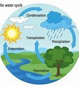 What is formed during the condensation part of the water cycle​-example-1