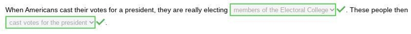 When Americans cast their votes for a president, they are really electing blank A-example-1