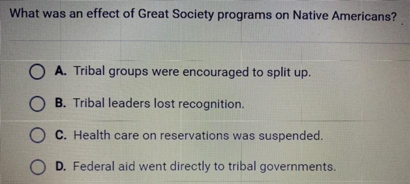 What was an effect of Great Society programs on Native Americans? A. Tribal groups-example-1