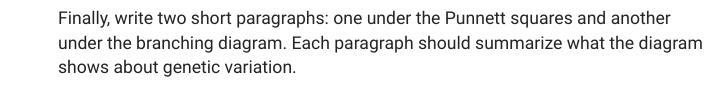 Finally, write two short paragraphs: one under the Punnett squares and another under-example-1