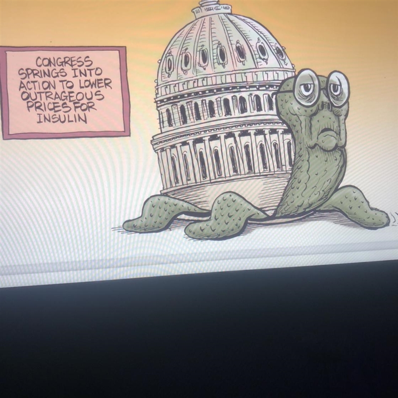 I’m doing a political assignment and I have to explain what’s going on in the picture-example-1