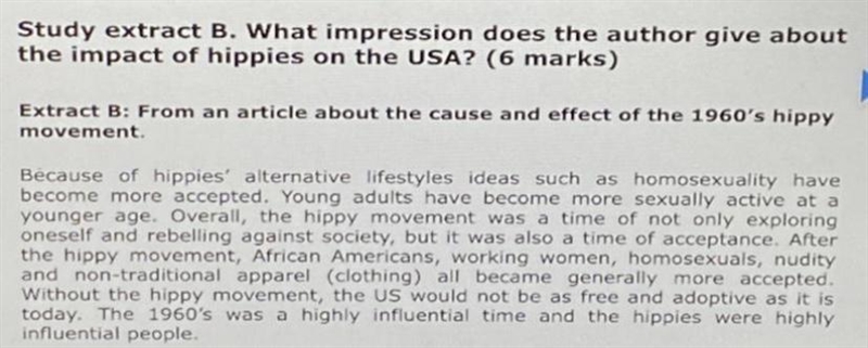 What impression is given about the hippies in the USA-example-1