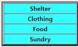 Name a consumer good in each of the following categories that were produced in the-example-1