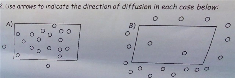 Use arrows to indicate the direction of diffusion in each case below-example-1