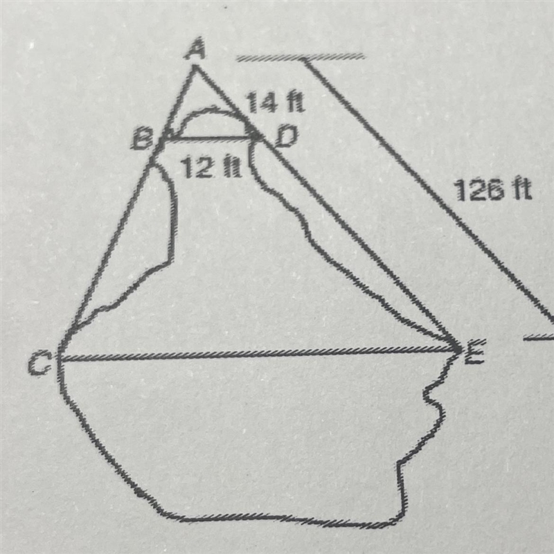 6. Andre is making a map of a state park. He finds a small bog, and he wants to measure-example-1