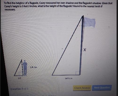 To find the helght x of a flagpole, Casey measured her own shadow and the flagpole-example-1