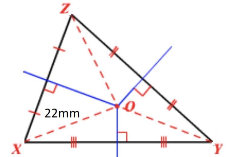 Given Triangle XYZ, with Circumcenter O. If the distance from XO is 22mm. What is-example-1