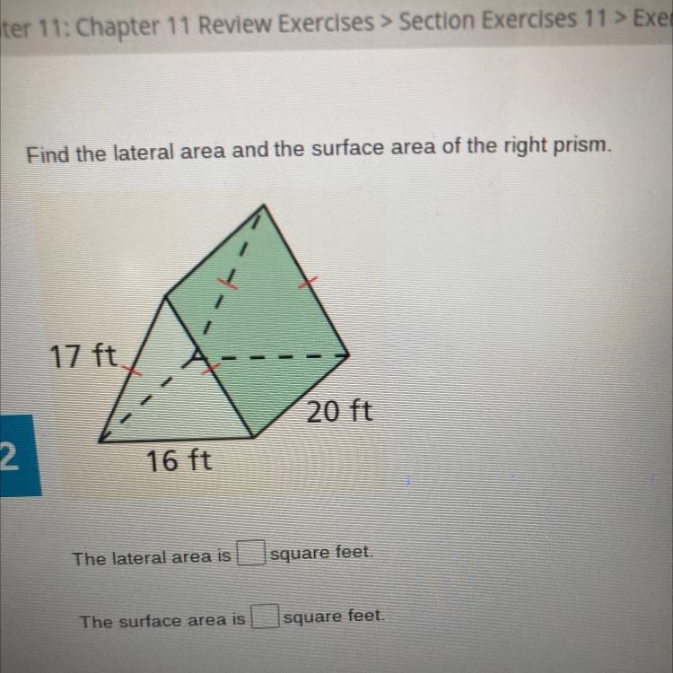 Find the lateral area and surface area of the right person-example-1