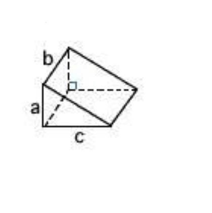 Calculate the volume of the prism shown with measurements a = 11, b = 5, and c = 8.11022055128-example-1