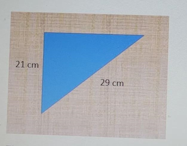 The missing side length in this right triangle is __ cm long.-example-1