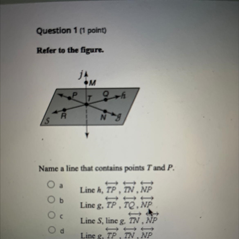 What is this refer to the figure name a line that contains t and p-example-1